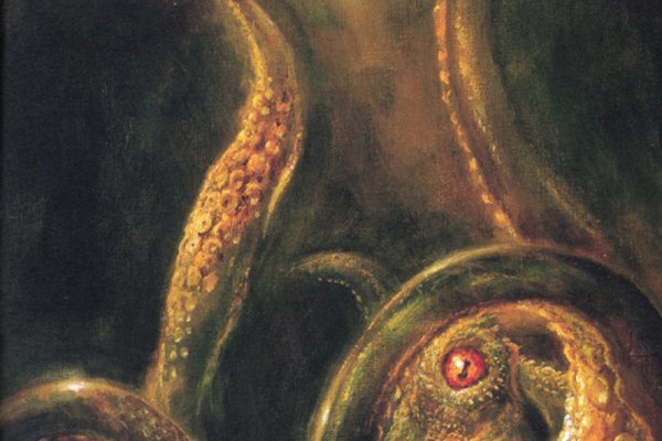 Kraken kraken link24 info