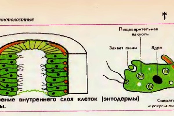 Кракен вход магазин