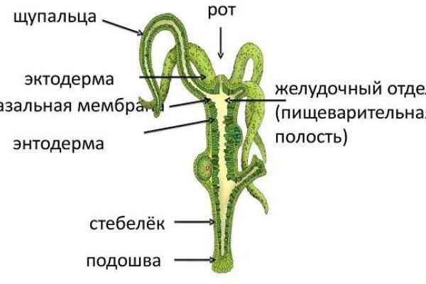Кракен рабочее на сегодня сайт