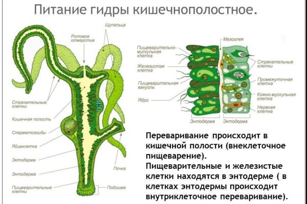 Кракен сайт вход официальный зеркало