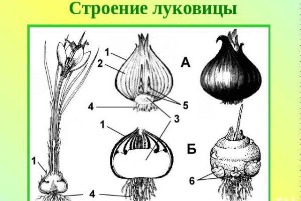 Кракен 12 сайт