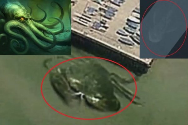 Kraken darknet зеркала