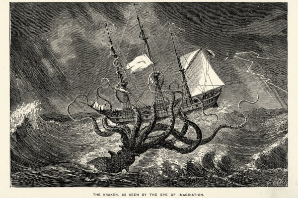 Kraken 12 att