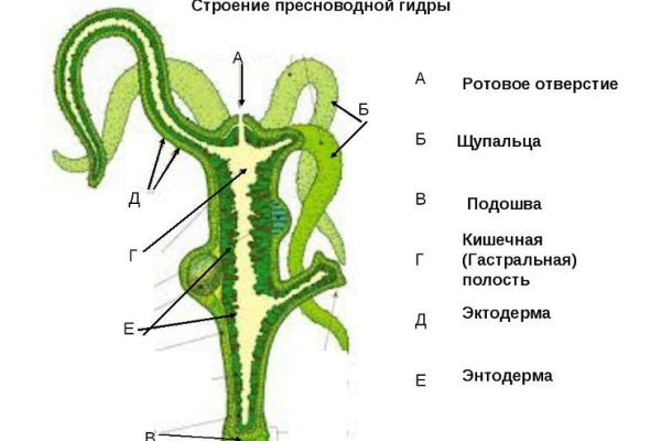 Новая ссылка на кракен