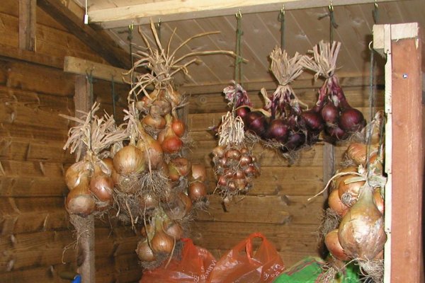 Что такое кракен в интернете